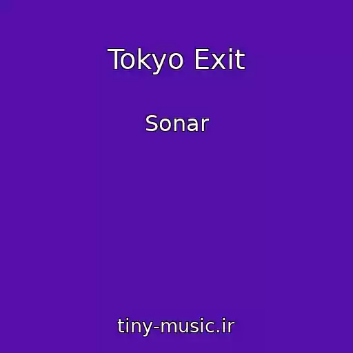 کاور آهنگ Tokyo Exit از Sonar