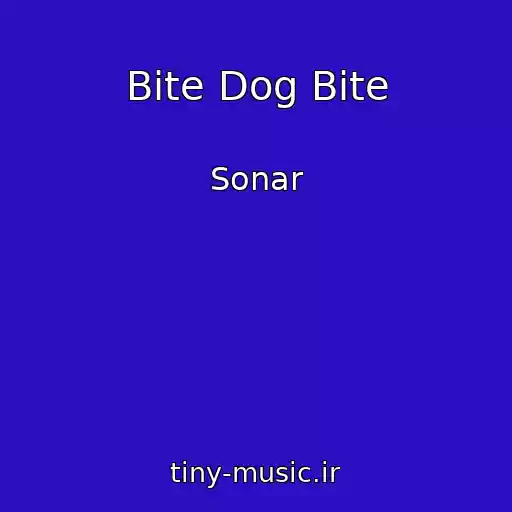 کاور آهنگ Bite Dog Bite از Sonar