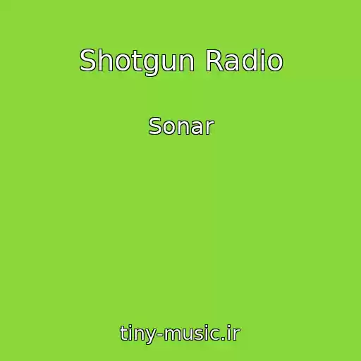 کاور آهنگ Shotgun Radio از Sonar