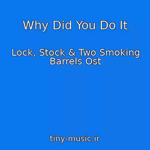 کاور آهنگ Why Did You Do It از Lock, Stock & Two Smoking Barrels Ost