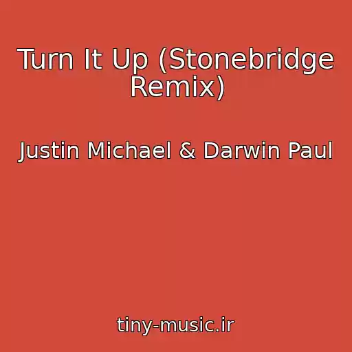 کاور آهنگ Turn It Up (Stonebridge Remix) از Justin Michael & Darwin Paul