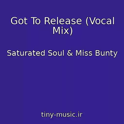 کاور آهنگ Got To Release (Vocal Mix) از Saturated Soul & Miss Bunty
