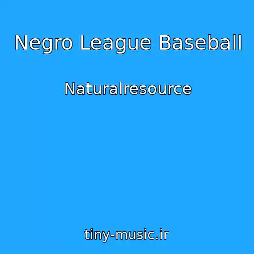 کاور آهنگ Negro League Baseball از Naturalresource