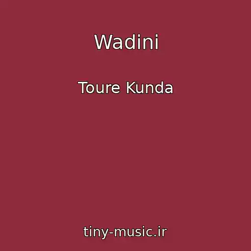 کاور آهنگ Wadini از Toure Kunda