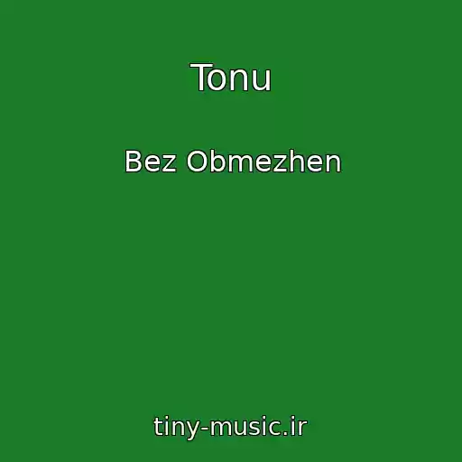 کاور آهنگ Tonu از Bez Obmezhen