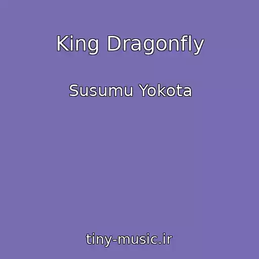 کاور آهنگ King Dragonfly از Susumu Yokota