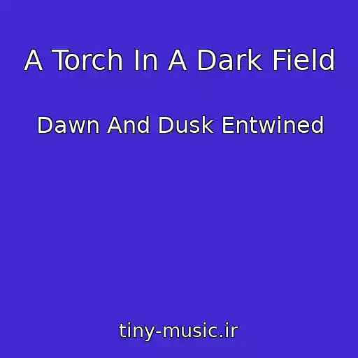 کاور آهنگ A Torch In A Dark Field از Dawn And Dusk Entwined