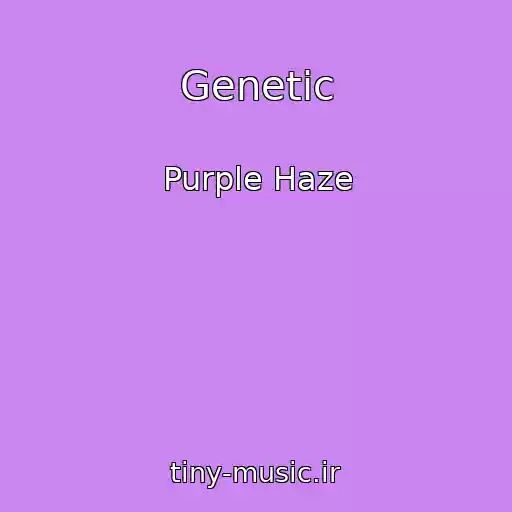 کاور آهنگ Genetic از Purple Haze