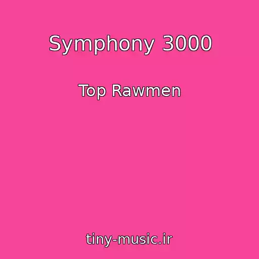 کاور آهنگ Symphony 3000 از Top Rawmen