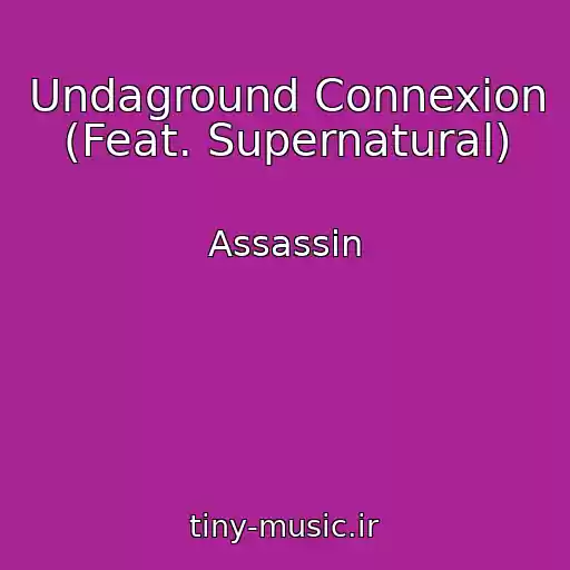 کاور آهنگ Undaground Connexion (Feat. Supernatural) از Assassin