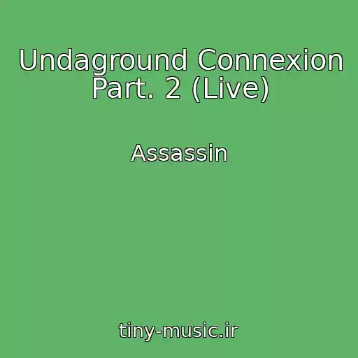 کاور آهنگ Undaground Connexion Part. 2 (Live) از Assassin