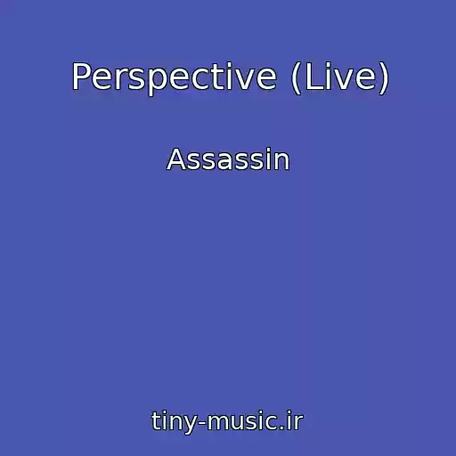 کاور آهنگ Perspective (Live) از Assassin