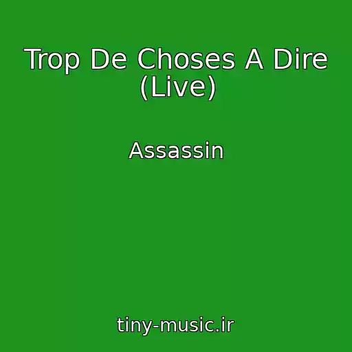 کاور آهنگ Trop De Choses A Dire (Live) از Assassin