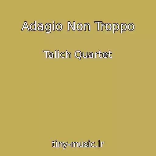 کاور آهنگ Adagio Non Troppo از Talich Quartet