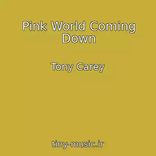 کاور آهنگ Pink World Coming Down از Tony Carey