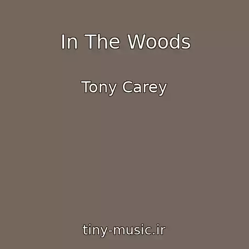 کاور آهنگ In The Woods از Tony Carey