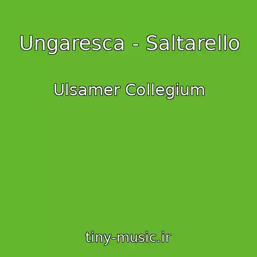 کاور آهنگ Ungaresca - Saltarello از Ulsamer Collegium