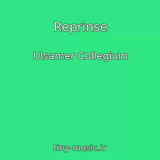 کاور آهنگ Reprinse از Ulsamer Collegium