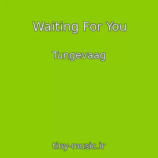 کاور آهنگ Waiting For You از Tungevaag