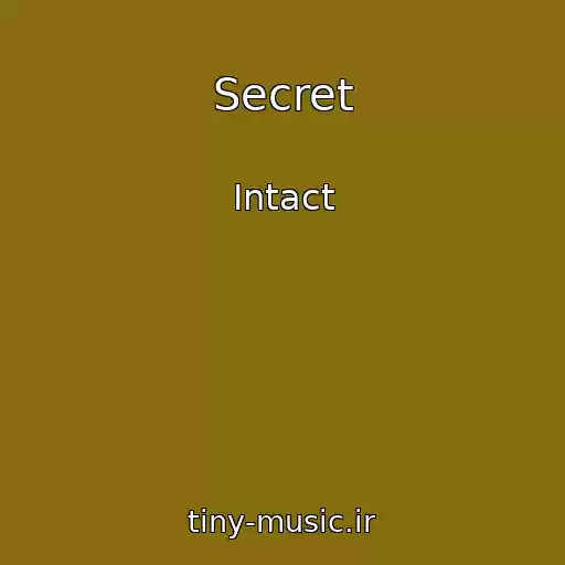 کاور آهنگ Secret از Intact