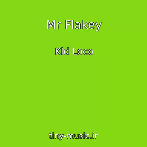 کاور آهنگ Mr Flakey از Kid Loco