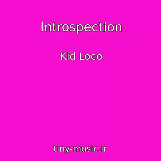 کاور آهنگ Introspection از Kid Loco
