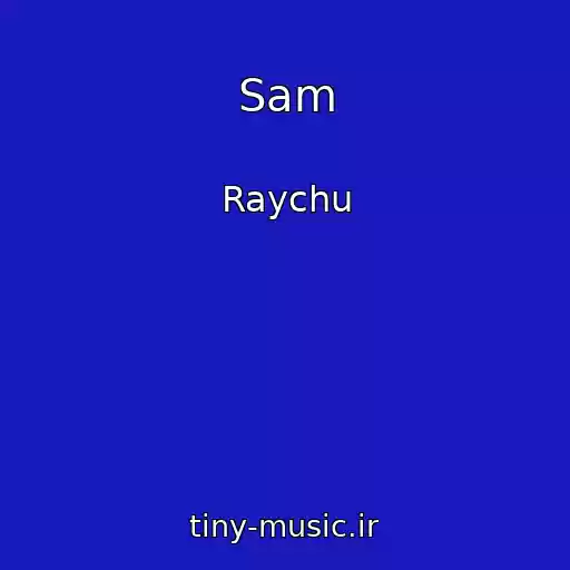 کاور آهنگ Sam از Raychu