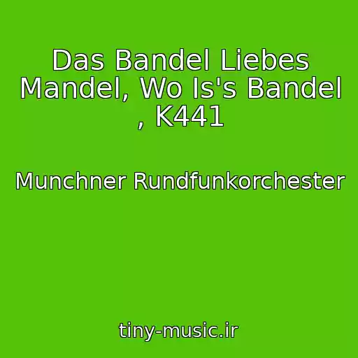 کاور آهنگ Das Bandel Liebes Mandel, Wo Is's Bandel , K441 از Munchner Rundfunkorchester