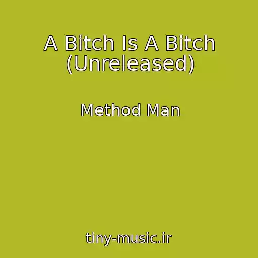 کاور آهنگ A Bitch Is A Bitch (Unreleased) از Method Man