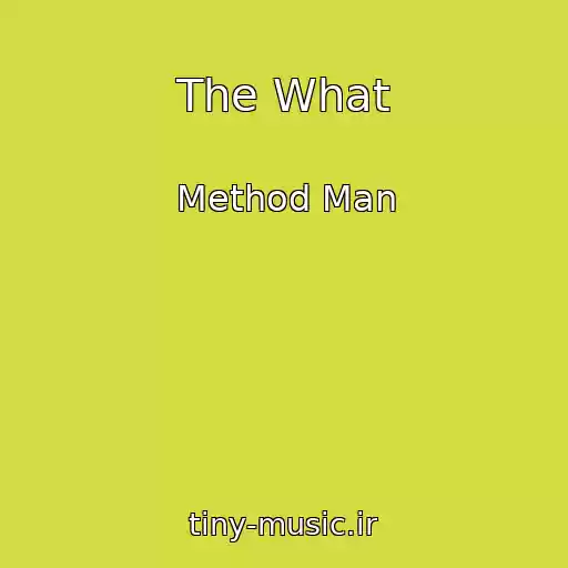 کاور آهنگ The What از Method Man