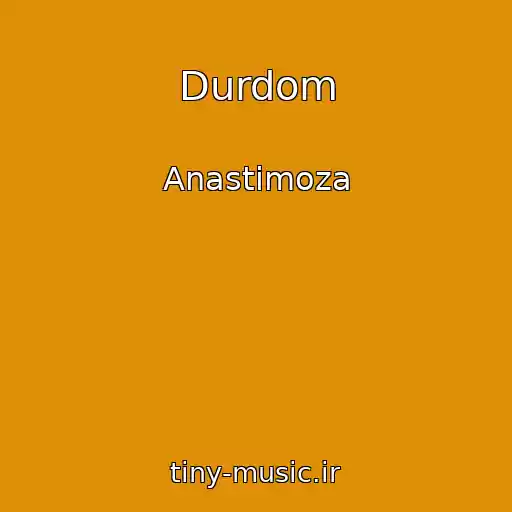 کاور آهنگ Durdom از Anastimoza