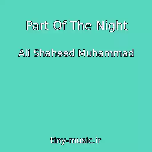 کاور آهنگ Part Of The Night از Ali Shaheed Muhammad