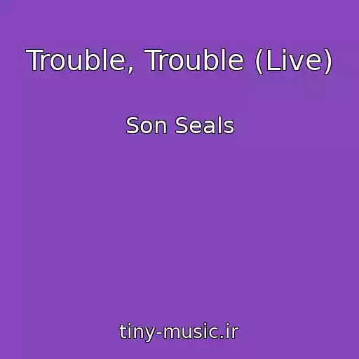 کاور آهنگ Trouble, Trouble (Live) از Son Seals
