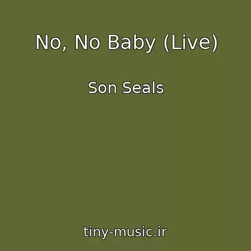 کاور آهنگ No, No Baby (Live) از Son Seals