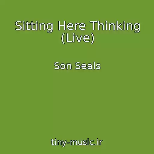 کاور آهنگ Sitting Here Thinking (Live) از Son Seals