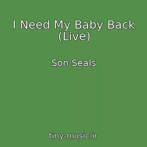 کاور آهنگ I Need My Baby Back (Live) از Son Seals
