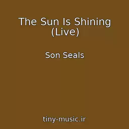 کاور آهنگ The Sun Is Shining (Live) از Son Seals