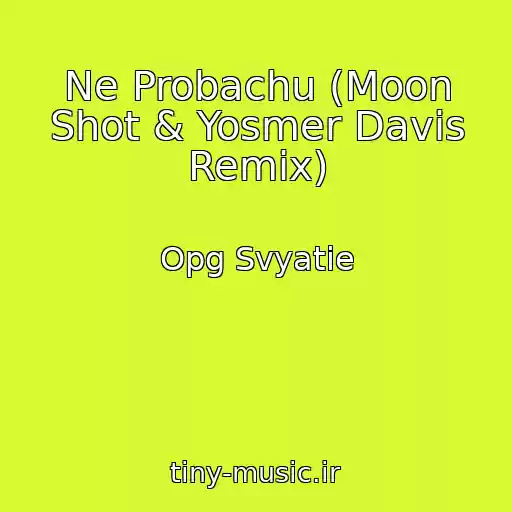 کاور آهنگ Ne Probachu (Moon Shot & Yosmer Davis Remix) از Opg Svyatie