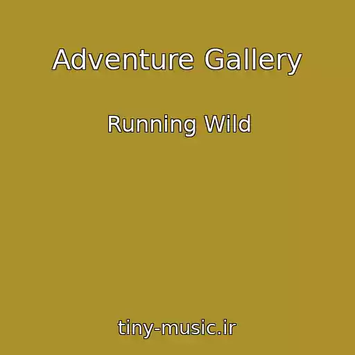 کاور آهنگ Adventure Gallery از Running Wild