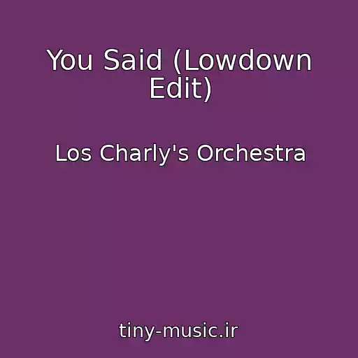 کاور آهنگ You Said (Lowdown Edit) از Los Charly's Orchestra