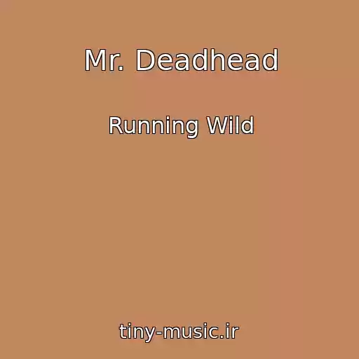کاور آهنگ Mr. Deadhead از Running Wild