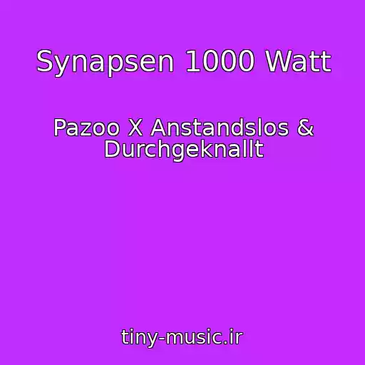 کاور آهنگ Synapsen 1000 Watt از Pazoo X Anstandslos & Durchgeknallt