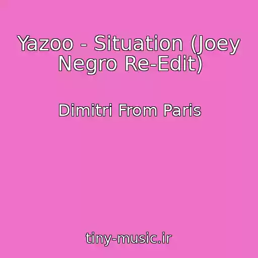 کاور آهنگ Yazoo - Situation (Joey Negro Re-Edit) از Dimitri From Paris