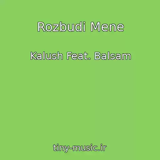 کاور آهنگ Rozbudi Mene از Kalush Feat. Balsam