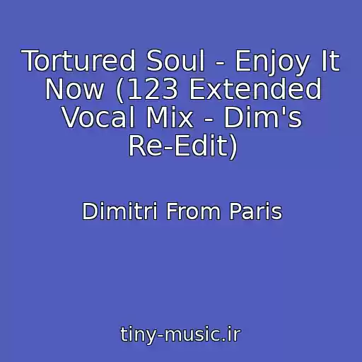 کاور آهنگ Tortured Soul - Enjoy It Now (123 Extended Vocal Mix - Dim's Re-Edit) از Dimitri From Paris