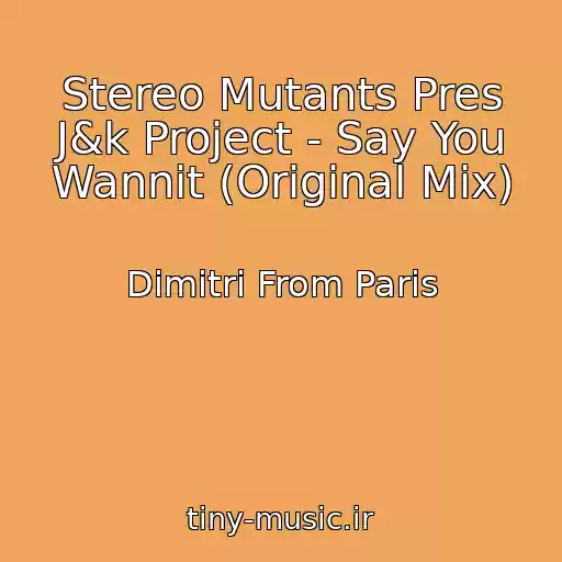 کاور آهنگ Stereo Mutants Pres J&k Project - Say You Wannit (Original Mix) از Dimitri From Paris