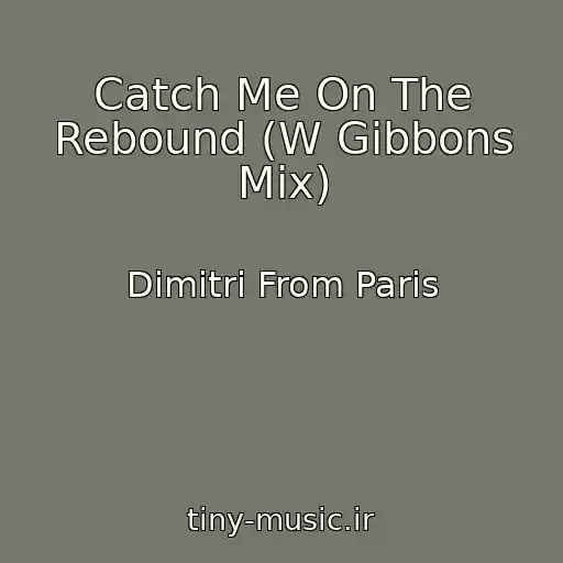 کاور آهنگ Catch Me On The Rebound (W Gibbons Mix) از Dimitri From Paris