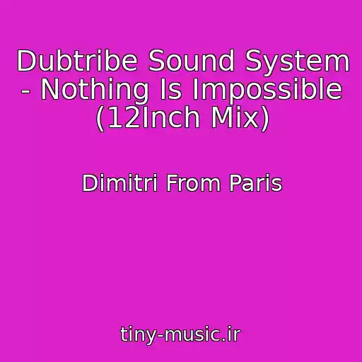کاور آهنگ Dubtribe Sound System - Nothing Is Impossible (12Inch Mix) از Dimitri From Paris