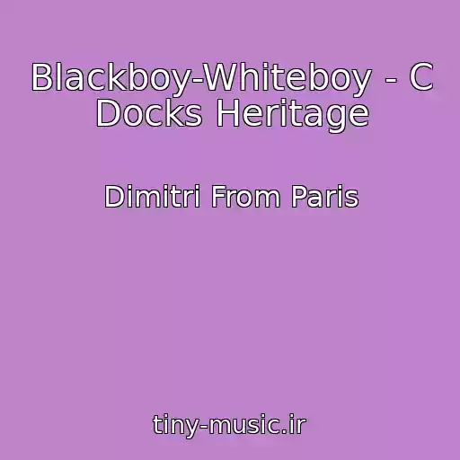 کاور آهنگ Blackboy-Whiteboy - C Docks Heritage از Dimitri From Paris