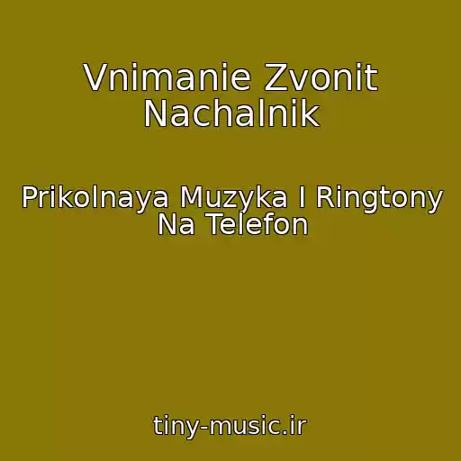 کاور آهنگ Vnimanie Zvonit Nachalnik از Prikolnaya Muzyka I Ringtony Na Telefon